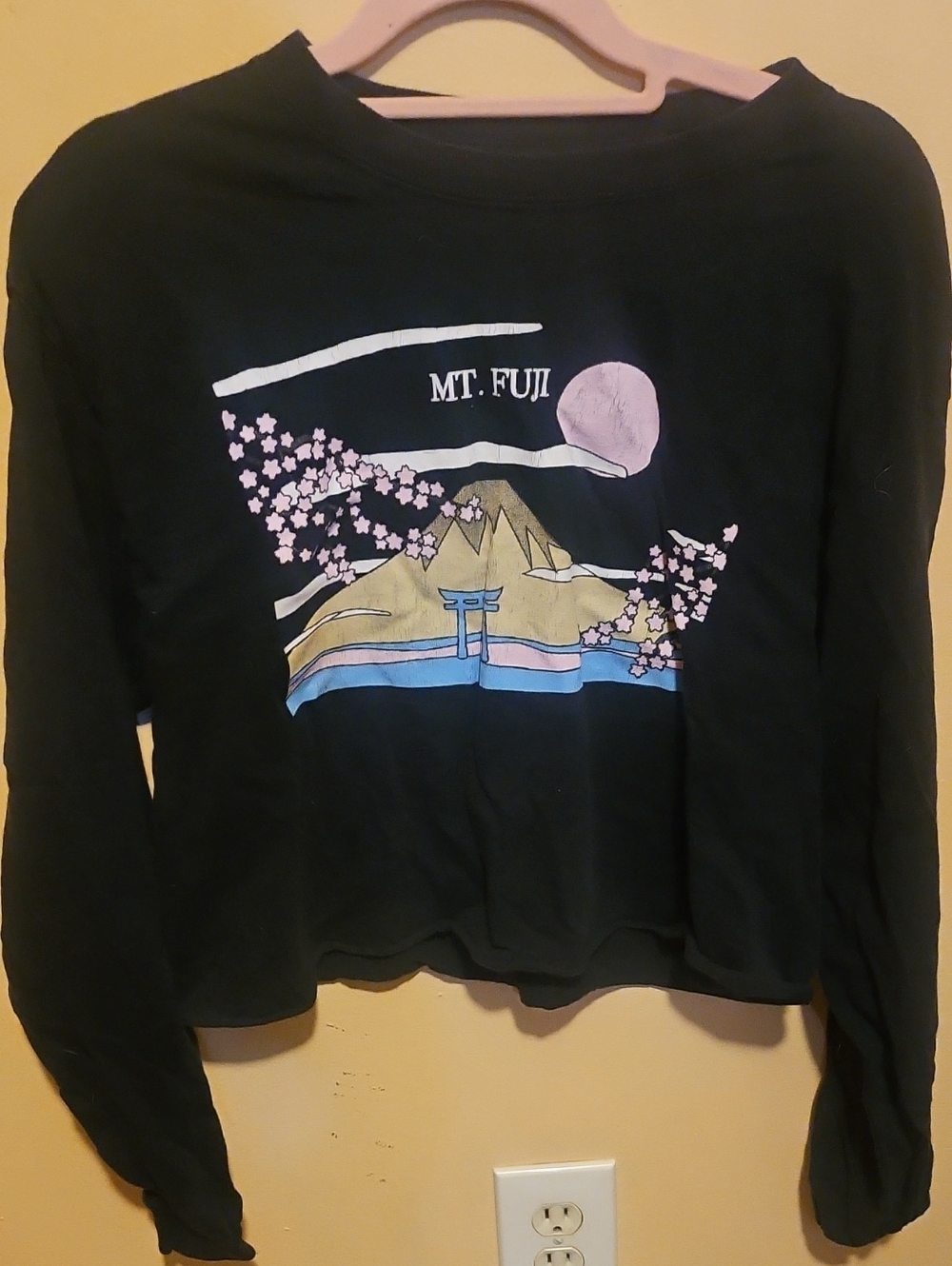 Mt. Fuji Graphic Black Crop Sweatshirt